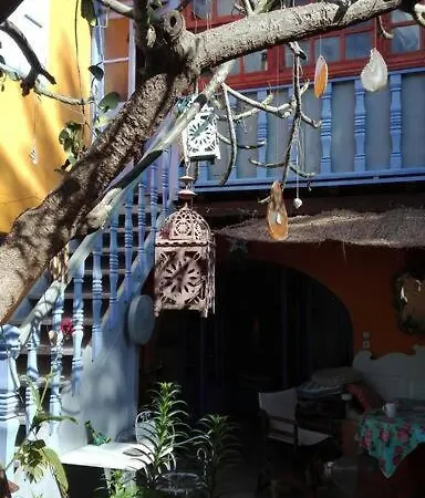 La Casa Del Frangipane Mariasole Rodi Apartment